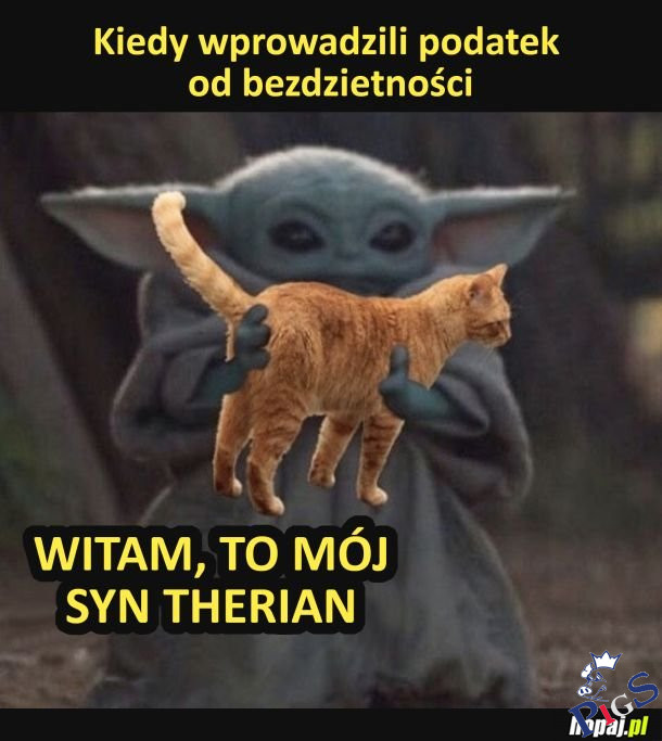 Podatek od bezdzietności
