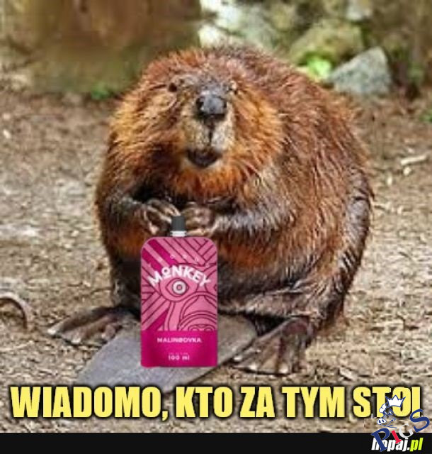 Wiadomo, kto za tym stoi