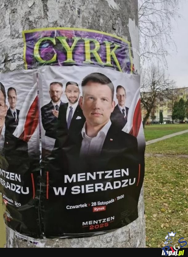 Cyrk