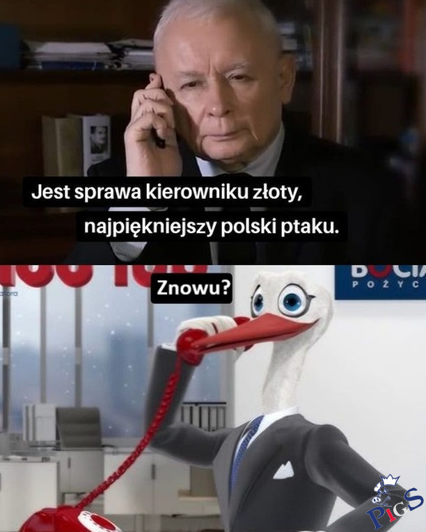 Znowu?