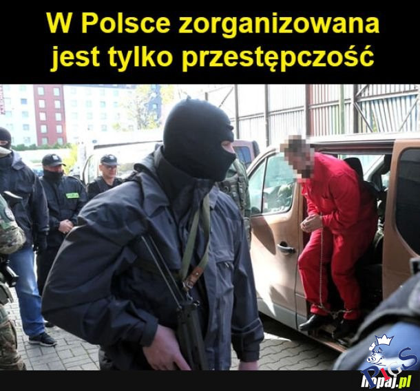 Organizacja