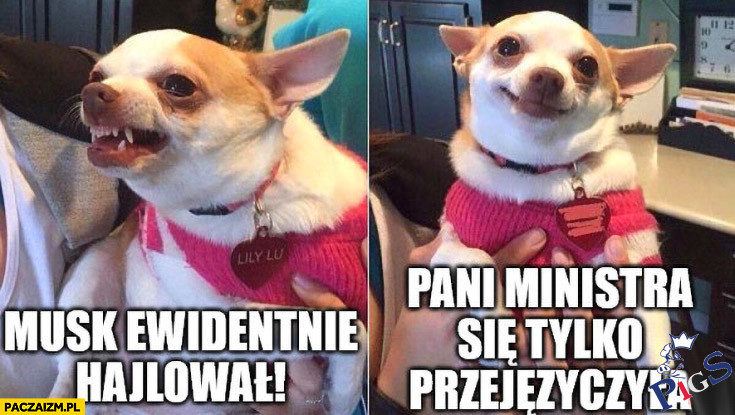 Coś jej się POplątało
