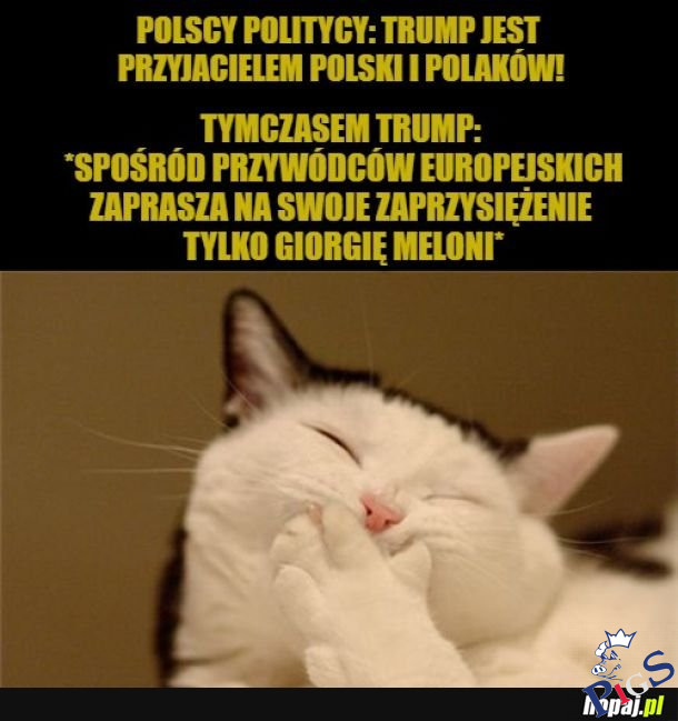 Jednak lubi tylko Włochów