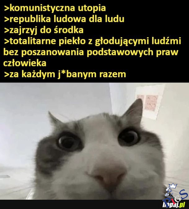 Za akżdym … razem