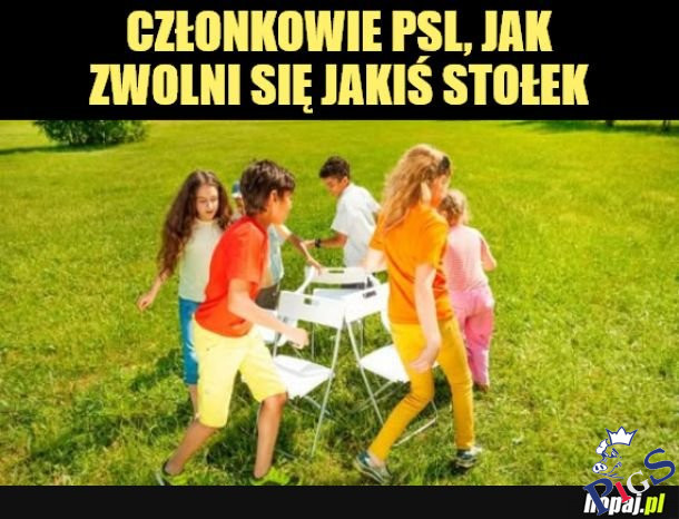 Członkowie PSL