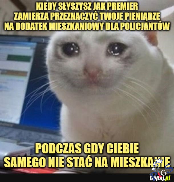 Dodatek mieszkaniowy