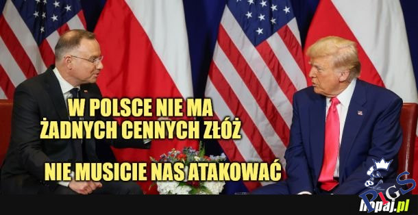 Jedynie złoża głupoty