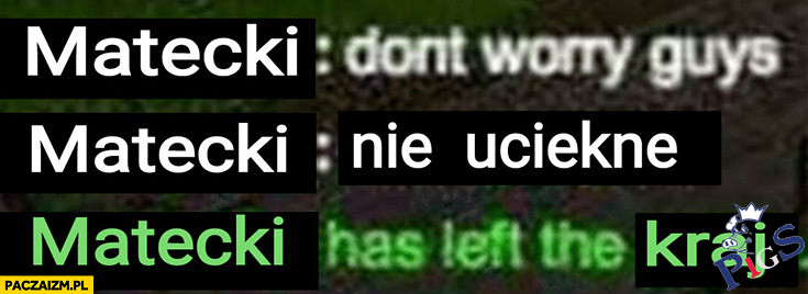 Matecki