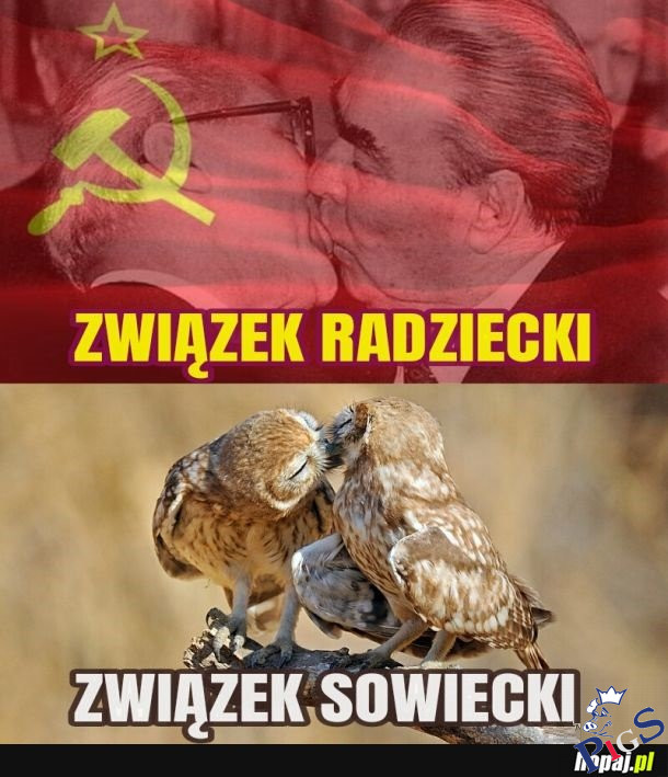 Słynne wziązki