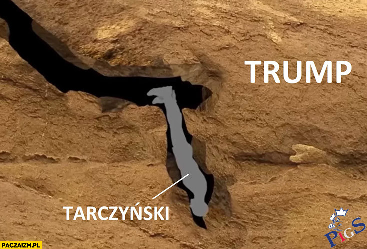 Trump – Tarczyński