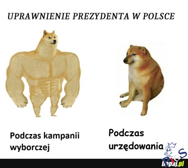Władza prezydencka