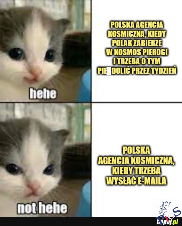Za trudne dla POLSY