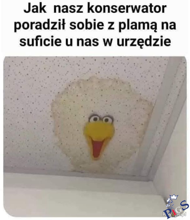 Gdzieś w urzędzie