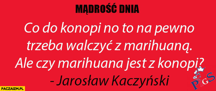 Mądrość dnia