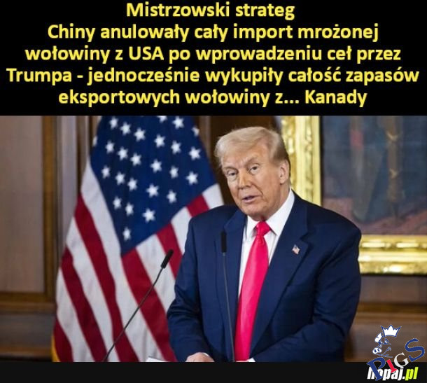 Mistrzowski strateg