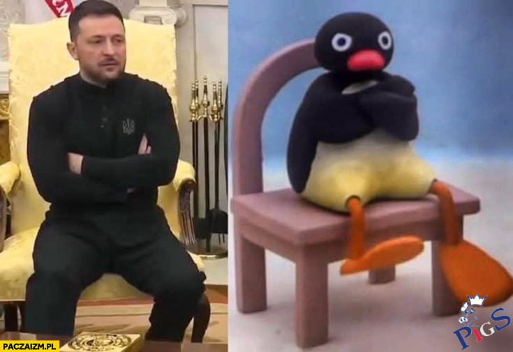 Obrażony pingwinek