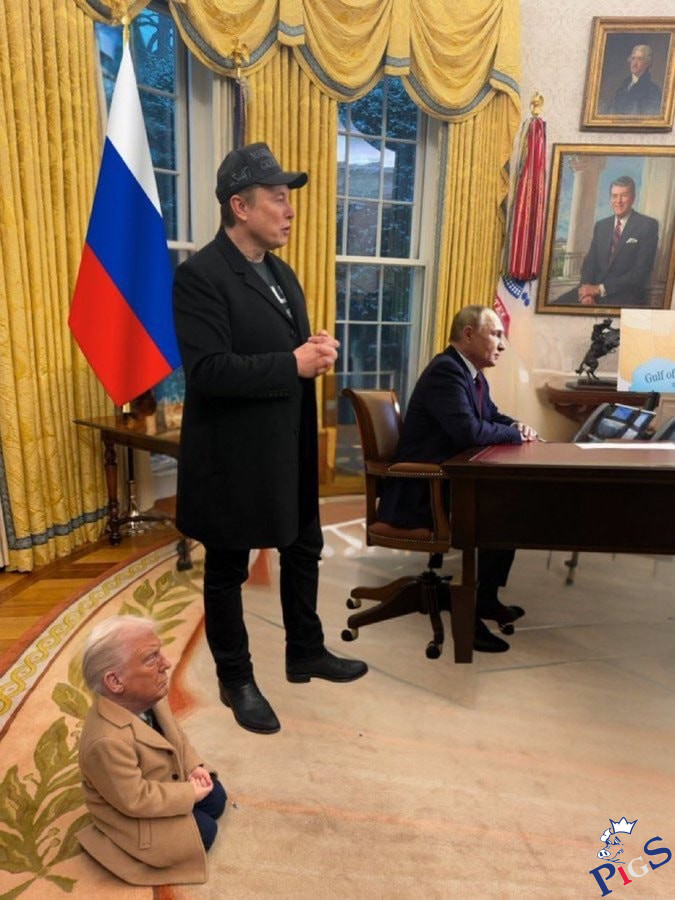 Piesek Donald