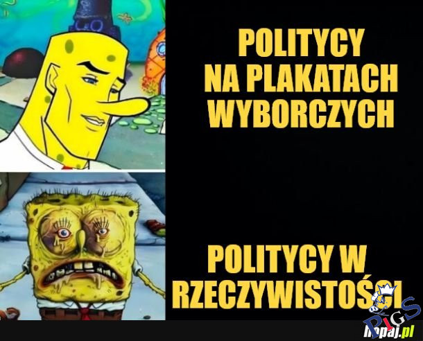 Długie nosy zostają