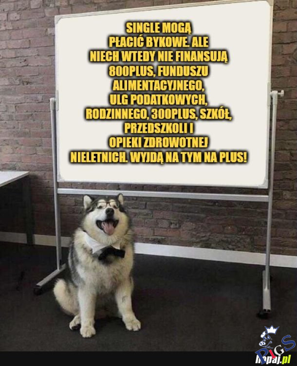 Dokładnie!