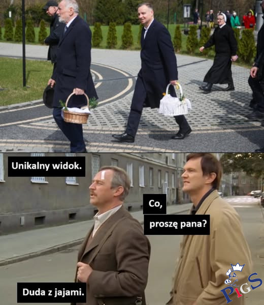 Duda z jajami