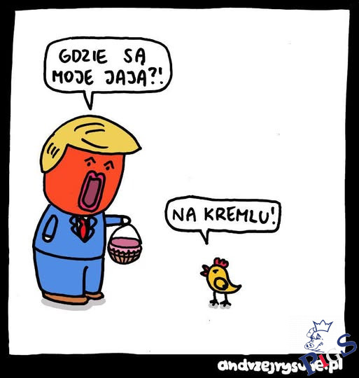 Gdzie są moje jaja?