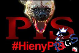Hieny Pis