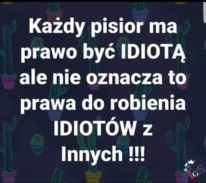 Każdy pisior ma prawo