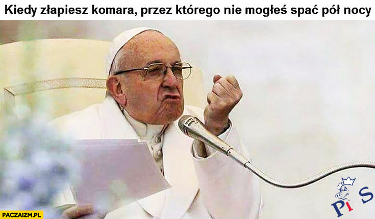 Kiedy złapiesz komara