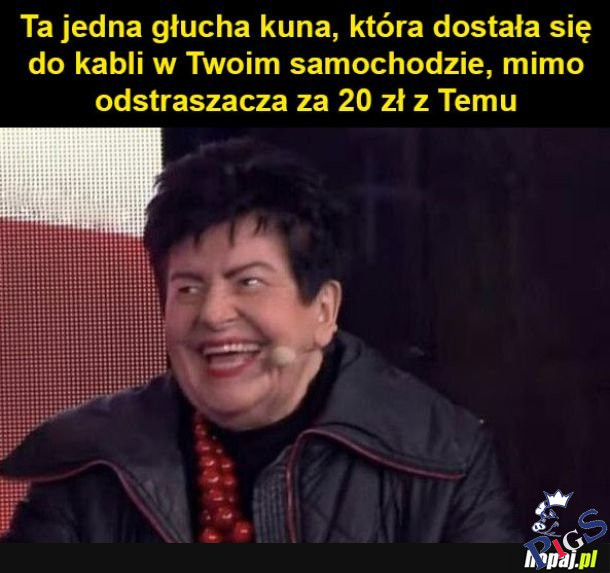 Kuna