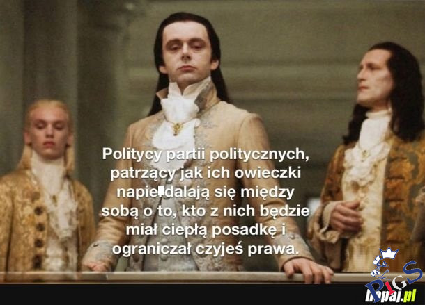 Owieczki