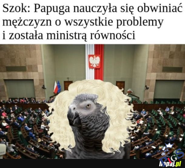 Papużka