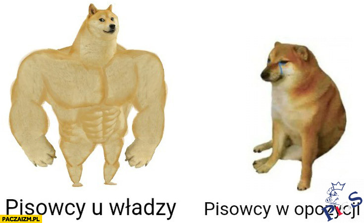 Pisowcy