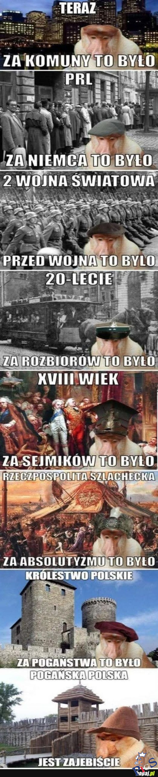 Pokolenie polaczka nosaczka