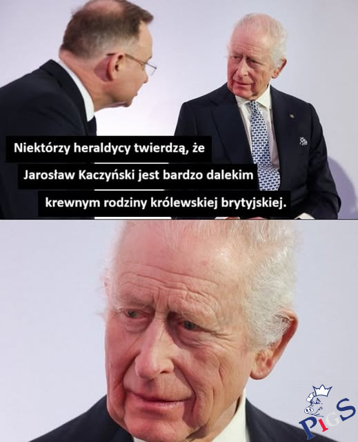 Say what?