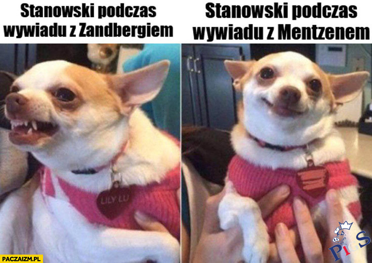 Sławek i Adi