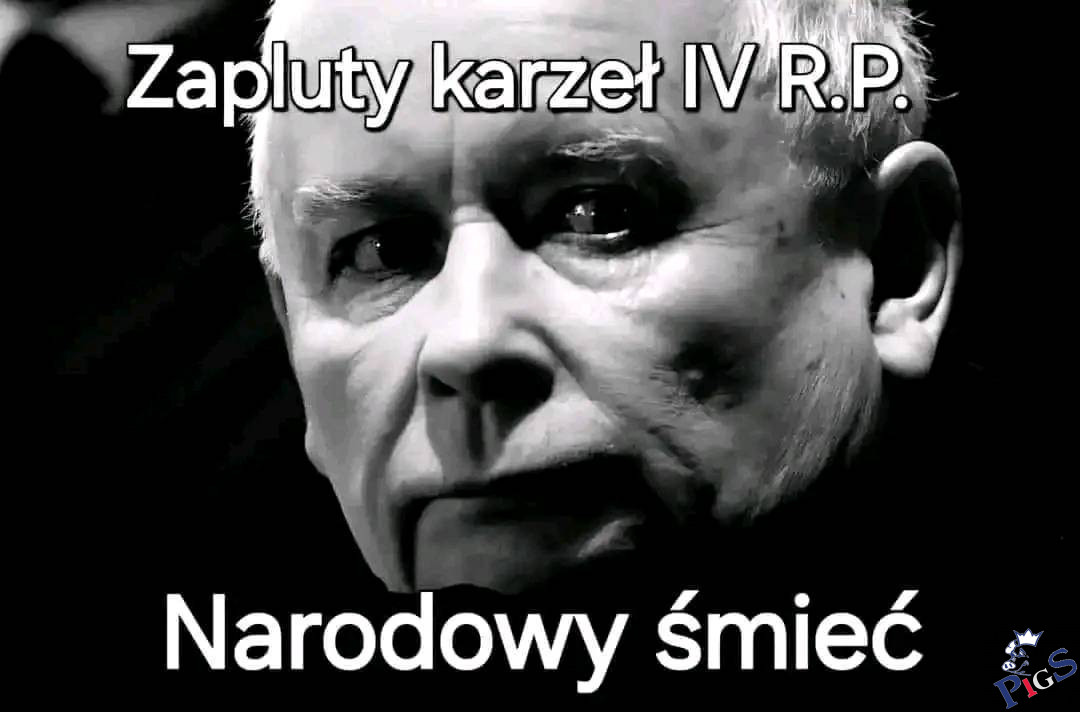 Zapluty karzeł IV RP