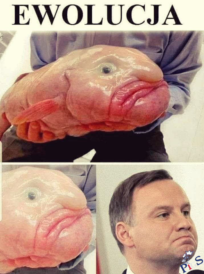 Ewolucja