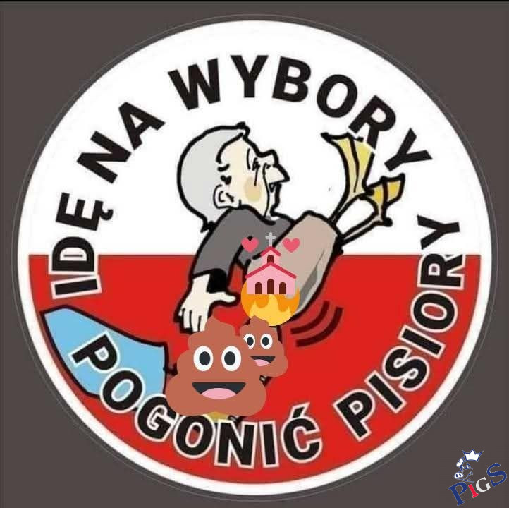Idę na wybory