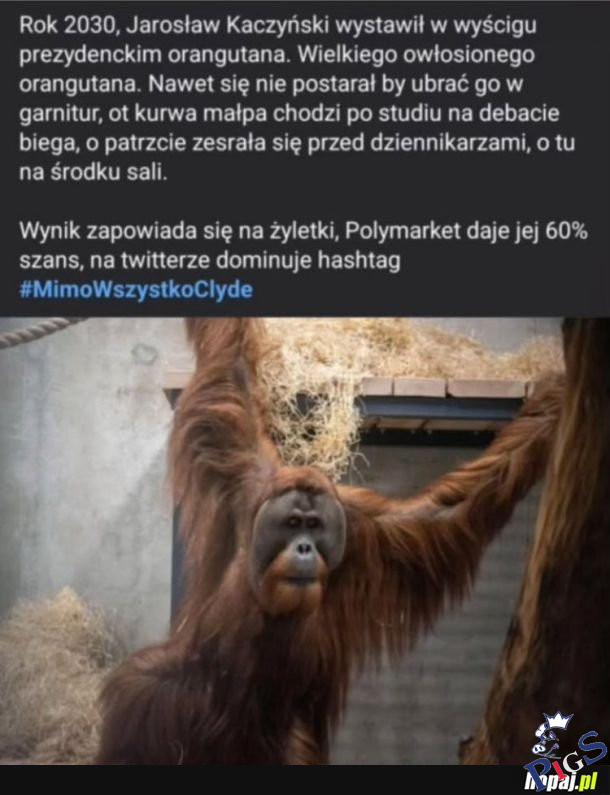 Małpocki