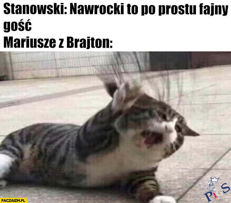 Mariusze z brajton