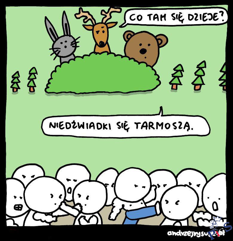 Niedźwiadki się tarmoszą