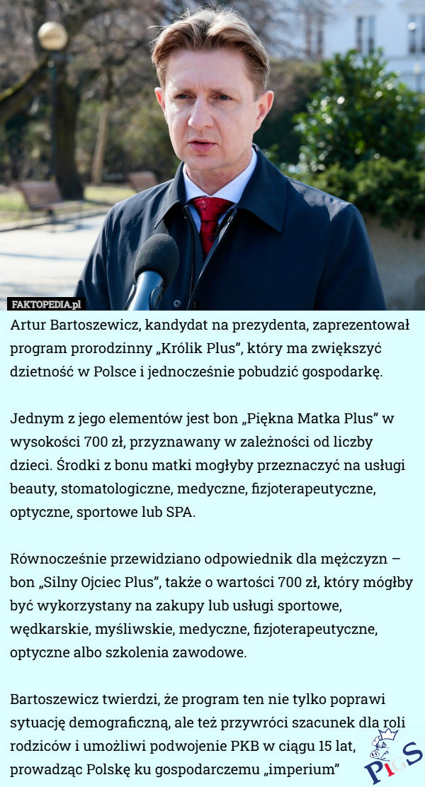 Piękne Plusy