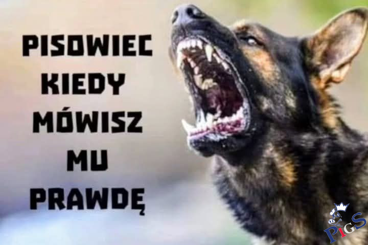 Pisowiec