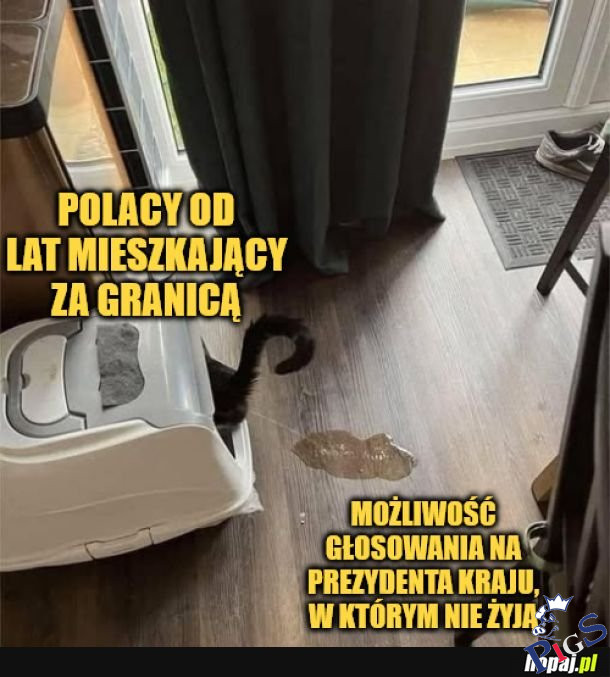 Polacy od lat mieszkajacy za granicą