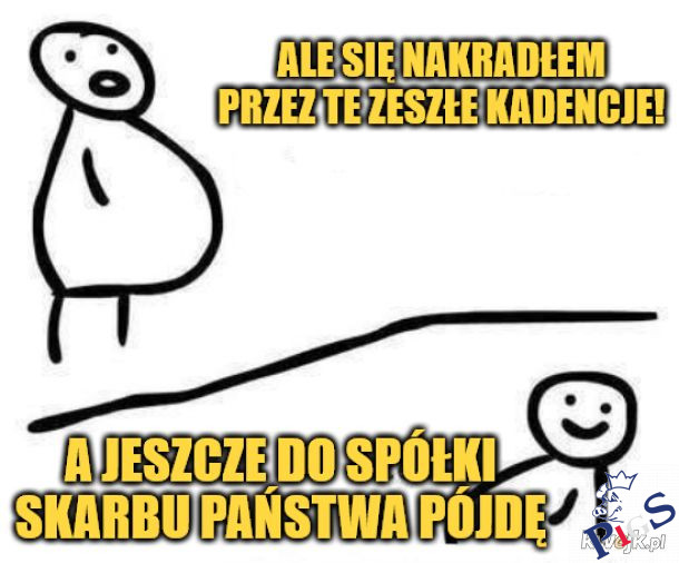 Polityk