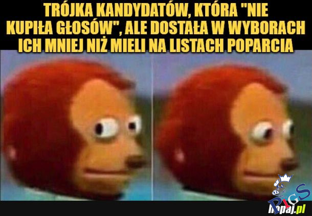 Trójka kandydatów
