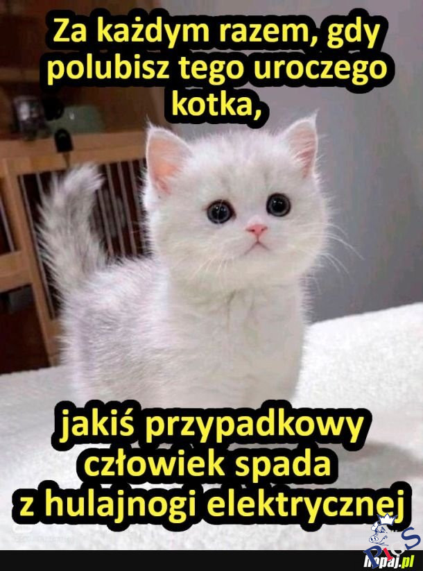 Trzymamy kciuki za Sławka