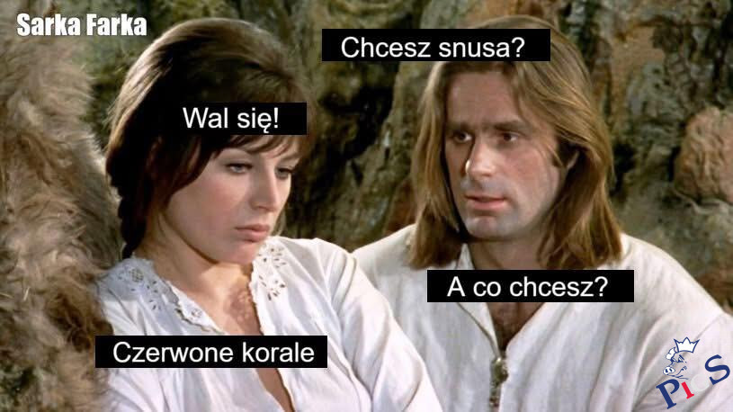 Chcesz snusa?
