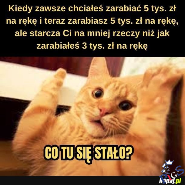 Co się przez te 8 lat stało?