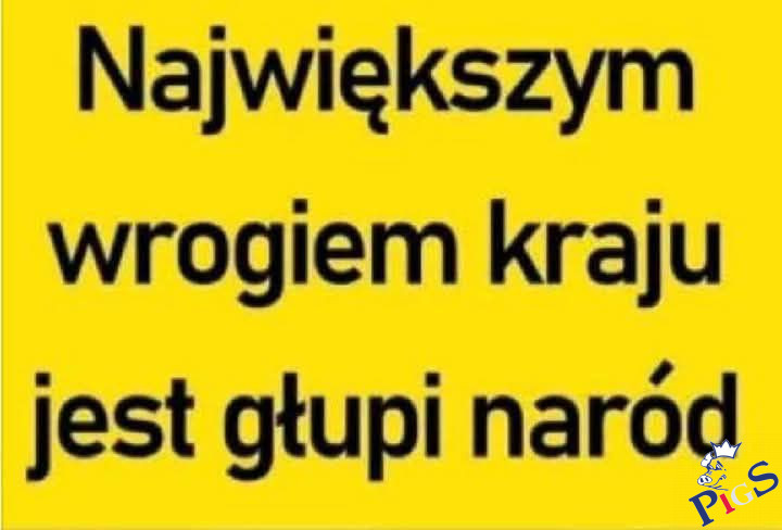 Głupota z przodu, mądrość została w tyle